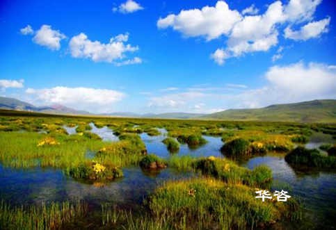長(zhǎng)沙水土保持？湖南省水土保持編制專業(yè)公司_10年專注水土保持報(bào)告的編制。